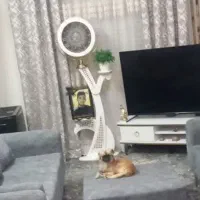 پرذه
