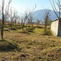 فروش-زمین-درشهسوار-تنکابن