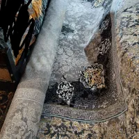 فرش دوازده متری تراکم بالا ۷۵۰شانه|فرش|زابل, |دیوار