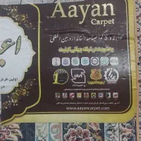 خانه و آشپزخانه|فرش|سنندج, |دیوار