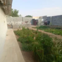 خانه باغ و سالن مرغداری خونه باغ|فروش خانه و ویلا|نیر (یزد), |دیوار