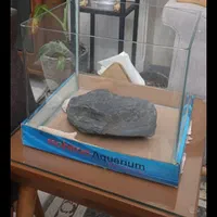 آکواریوم شیشه خم ماهیران