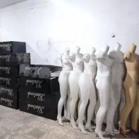 رگال مانکن سبدحراجی پاچال ویترین گیت تک|فروشگاه و مغازه|مشهد, رده|دیوار