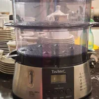 بخار پز تکنو