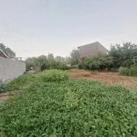 فروش ۳۰۰۰ متر زمین مسکونی قطعه بندی شده در منگوده|فروش زمین و ملک کلنگی|رشت, پیله داربن|دیوار