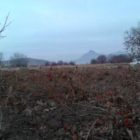 راهنمایی دندانسازی