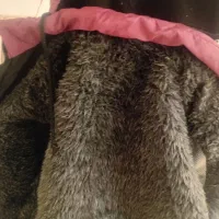 لباس-کاپشن- درحدنو