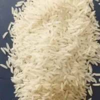برنج ایرانی تازه و معطر خرید از کشاورز