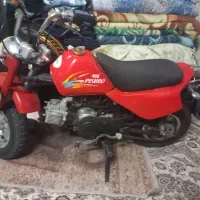 مینی پیشرو 70 سی سی سرحال