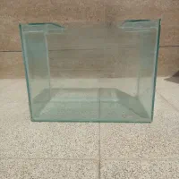 آکواریوم|ماهی|قوچان, |دیوار