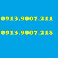 0913.9007.211