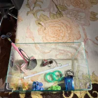 آکواریوم شیشه منحنی|ماهی|قم, پردیسان|دیوار