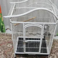 قفس بزرگ کاسکو