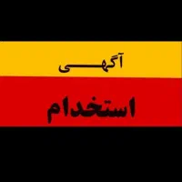 نیروی کیکی‌جات حرفه‌ای قنادی