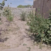 خونه به متراج ۵۲۰متر۱۶۰متر زیربنا خونه سر دونبش|فروش خانه و ویلا|بردسیر, |دیوار