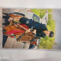 تابلو فرش شقایق|تابلو فرش|ایرانشهر, |دیوار