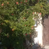 فروش خانه ویلایی|فروش خانه و ویلا|نهاوند, |دیوار