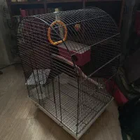 قفس پرنده