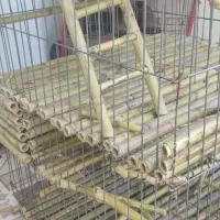 قفس حیوانات