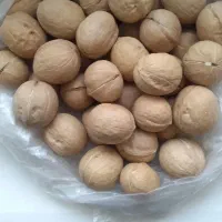 گردوبادام انجیرتوت سنجد رب انار هورامان درجه ۱|عمدهفروشی|بیجار, |دیوار