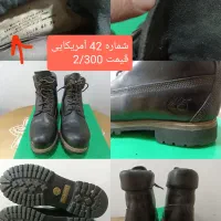 انواع کفش اصلی|کیف، کفش، کمربند|سنندج, |دیوار