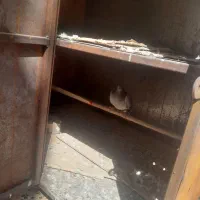 قفس آهنی محکم
