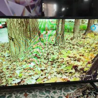 ال ی دی 32اینج