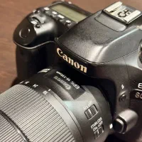 Canon80d|دوربین عکاسی و فیلم‌برداری|تهران, باغ فیض|دیوار
