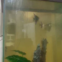 اکواریوم با کمد