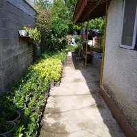 خانه ویلایی|فروش خانه و ویلا|چابکسر, |دیوار