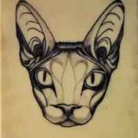 آموزش و اجرای تتو بدن|خدمات آرایشگری و زیبایی|شهریار, شهرک عباس پور|دیوار