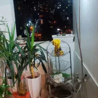 اجاره آپارتمان ۶۰ متری ۱ خوابه در بنیاد|اجارهٔ آپارتمان|کرج, بنیاد|دیوار