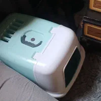 ظرف خاک گربه