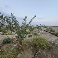 کارگر با خانواده.