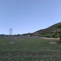 زمین کشاورزی