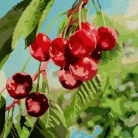 نقاشی گیلاس