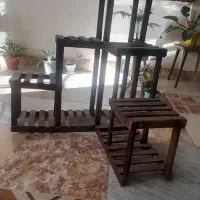 استند گل