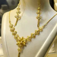 نیمست پنجشیری کم اجرت