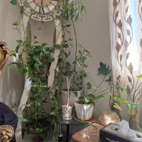 ساعت ایستاده|ساعت دیواری و تزئینی|قم, نخودی|دیوار