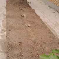 خدمات باغچه و سبزی کاری