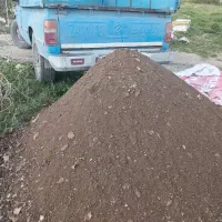 کود مرغ کودمرغی حمل بانیسان