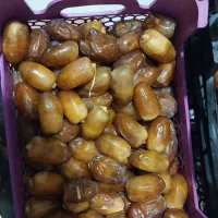 رطب جهرم|خوردنی و آشامیدنی|مرودشت, مختارآباد|دیوار