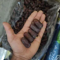 خرمای پیارم سوپر کیلو ۴۰۰