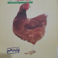 کتاب کمک درسی|کتاب و مجله آموزشی|فسا, |دیوار