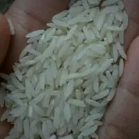 برنج هاشمی درجه ۱|خوردنی و آشامیدنی|تهران, استاد معین|دیوار