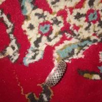 فروش انگشتر|جواهرات|کرمانشاه, |دیوار