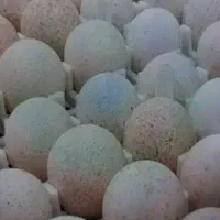 تخم مرغ محلی