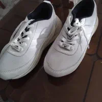 کتو نونو سایز ۳۷