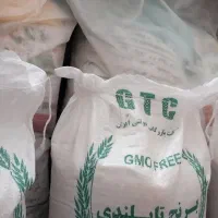 برنج تایلندی دولتی سهمیه برنج پاکستانی برنج نفیس