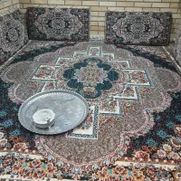 ۲۱ جفت پشتی درجه یک